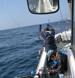 第二清洋丸 釣果