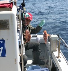 第二清洋丸 釣果