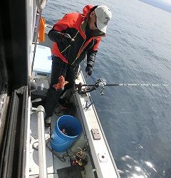 第二清洋丸 釣果