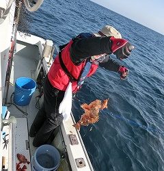 第二清洋丸 釣果