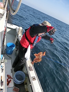 第二清洋丸 釣果