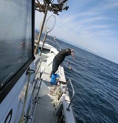 第二清洋丸 釣果