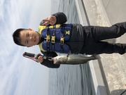 ＮＡＧＡＳＨＩＭA ＭＡＲＵ（永島丸） 釣果