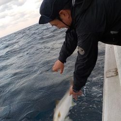 明日丸 釣果