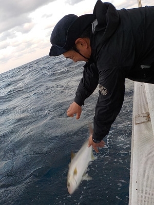 明日丸 釣果