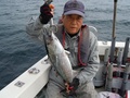 釣船　キティ 釣果