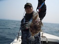 釣船　キティ 釣果