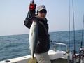 釣船　キティ 釣果