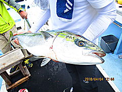 遊漁船 未紗奈 釣果