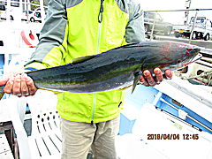 遊漁船 未紗奈 釣果