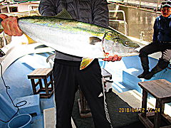 遊漁船 未紗奈 釣果