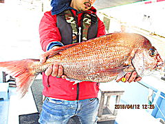 遊漁船 未紗奈 釣果