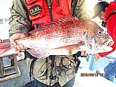 遊漁船 未紗奈 釣果