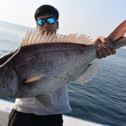 ジギング船 BLUEWATER 釣果