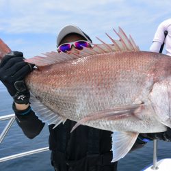 ジギング船 BLUEWATER 釣果