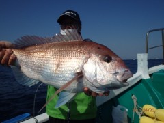 増福丸 釣果