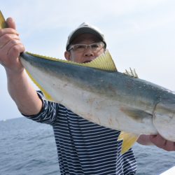 ジギング船 BLUEWATER 釣果