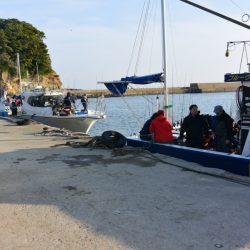 ジギング船 BLUEWATER 釣果