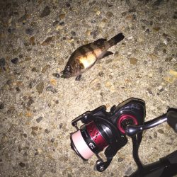 さー！連休だー！