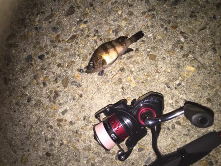 さー！連休だー！