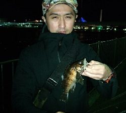 妻とベイトフィネスメバルプラッギング