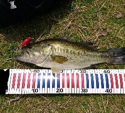 ハイプレッシャーの中