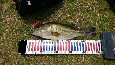 ハイプレッシャーの中