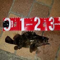 快適な釣りでした❗