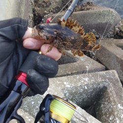 爆風のなか無理矢理風裏に行きメバリング