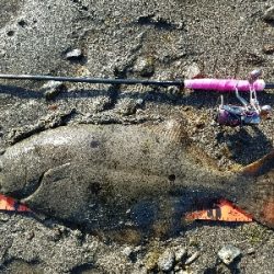 久々釣果!記録更新!