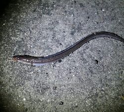 食品コンビナートにて