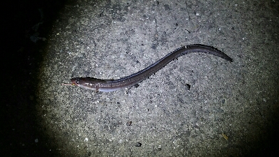 食品コンビナートにて