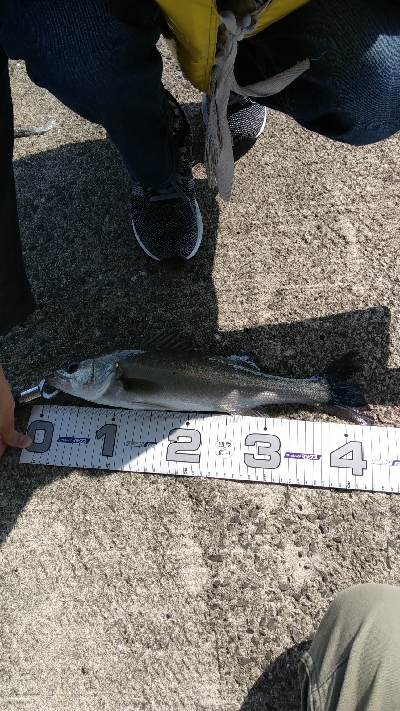 西野渡船さんにて