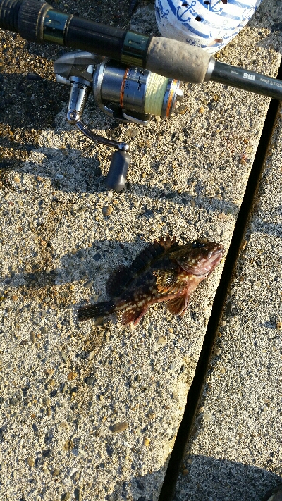 チニングでしたが