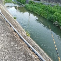 淡水小物釣り ~イイ感じ♪~