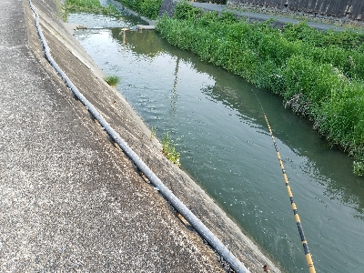 淡水小物釣り ~イイ感じ♪~