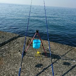 夜中0時から16時までのぶっ通し釣業務