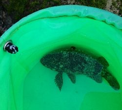 ショアジギ&穴釣り