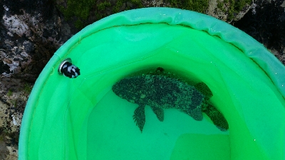 ショアジギ&穴釣り