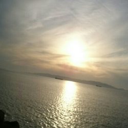 今年初の太刀魚