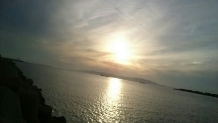 今年初の太刀魚