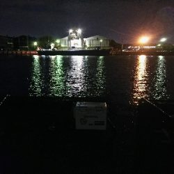 ズボ釣りで満足釣行