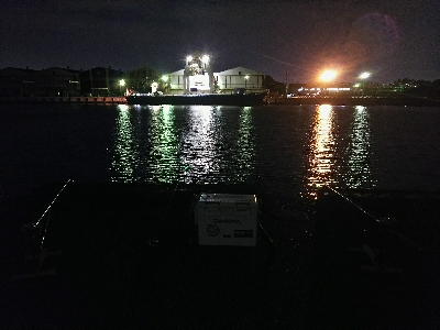 ズボ釣りで満足釣行