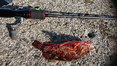 リベンジ２日目串本漁港～ランガン