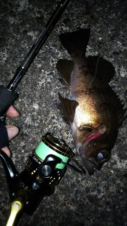 陸っぱり自己記録更新！