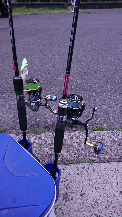 春のティップラン