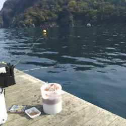 尺アジ足らず！