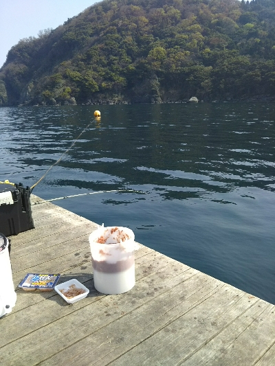 尺アジ足らず！