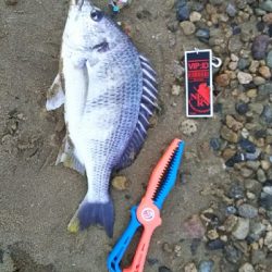 仕事終わりの寄道