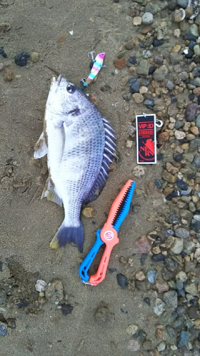 仕事終わりの寄道